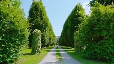 美丽绿色庄园绿植道路风景视频的预览图